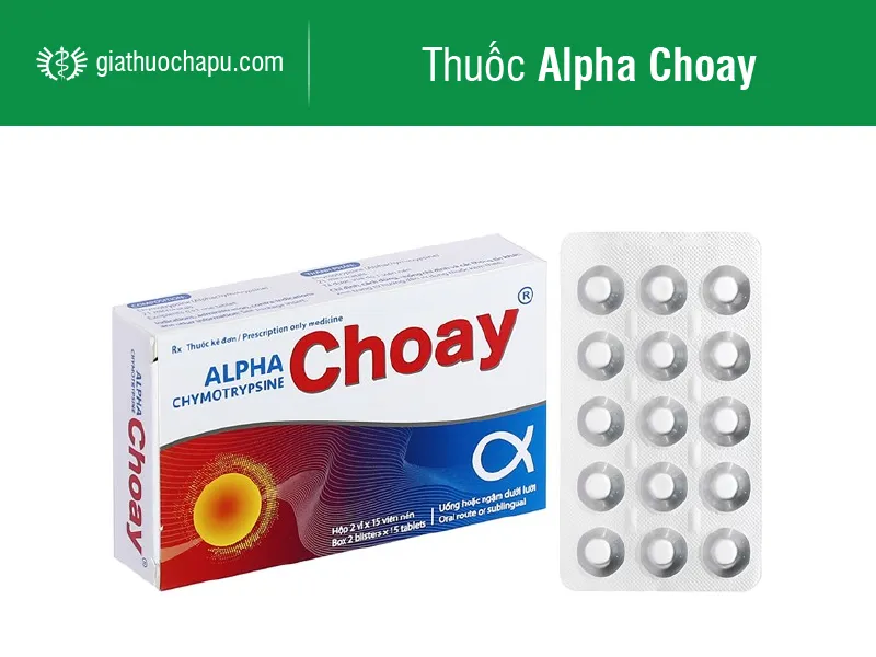 Alpha Choay là gì?