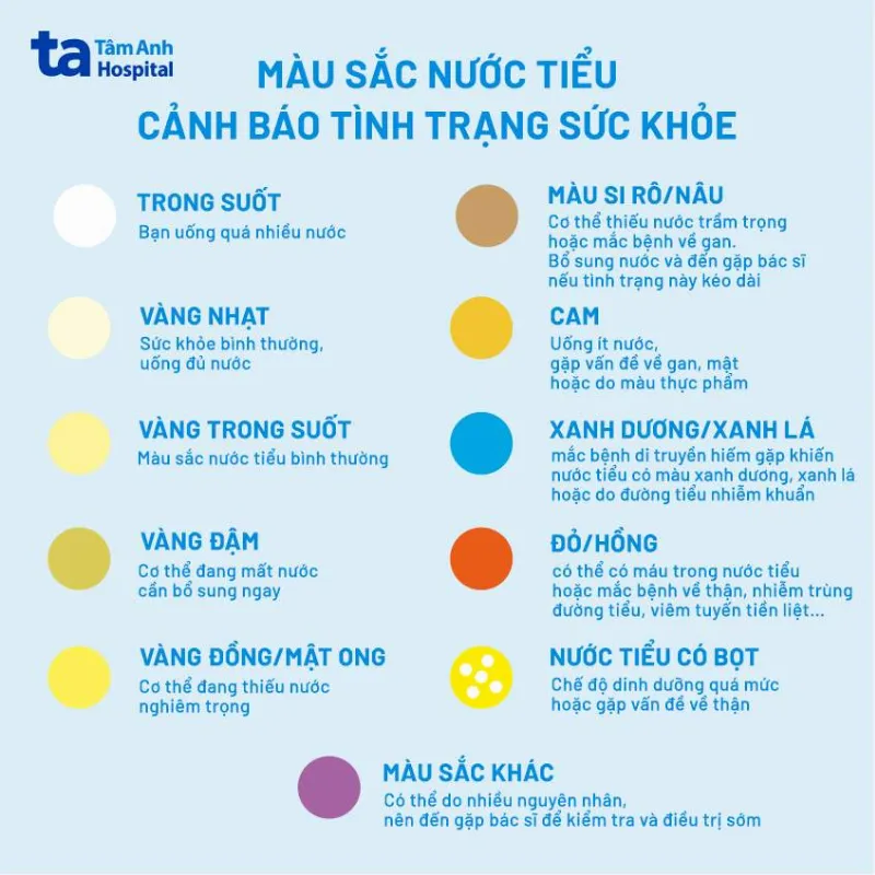 bảng màu nước tiểu tổng quan