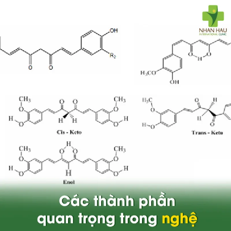 Các thành phần quan trọng trong nghệ