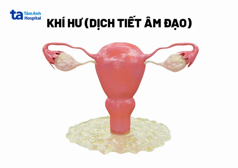 khí hư thường có màu như lòng trắng trứng